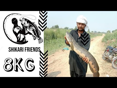 Soul Fish Hunting l Pakistani Soul Shikar