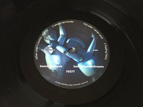 Sound Synthesis -- Amen Acid