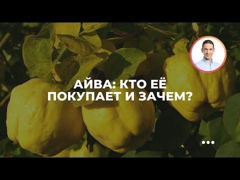[ru] Видео на русском языке 0