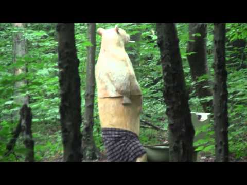 Denton Hill 2012 | ETAR | Eastern Traditional Archery Rendezvous