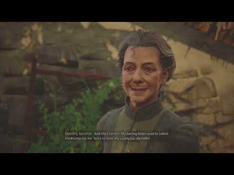 Hogwarts Legacy - Part 23 - PS5 4k 60FPS - Walkthrough Gameplay [No Commentary]