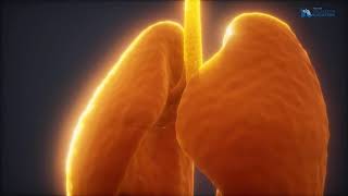 Akciğer Kanseri Tedavisi Ne Kadar Sürer?