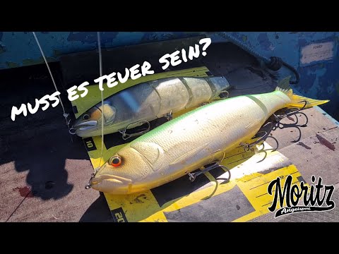 Hauptsache es beißt - flexibel auf Hecht