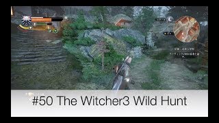 #50 The Witcher3 Game Play