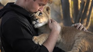 Les relations spectaculaires entre l'homme et l'animal | animal mignon