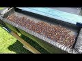 Life Hacks For The WORST Bugs