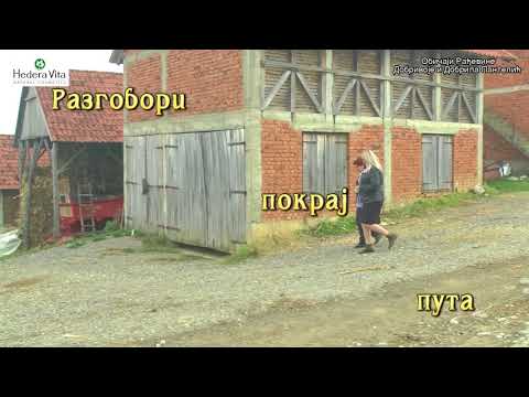 Razgovori pokraj puta Ljilja Jeremic - Obicaji Radjevine - Dobrivoje i Dobrila Pantelic
