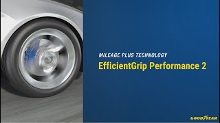 Goodyear EfficientGrip Performance 2 205/55 R16 91H