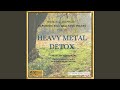 Heavy Metal Detox: Harmonic Egg Wellness Tracks, Vol. IV