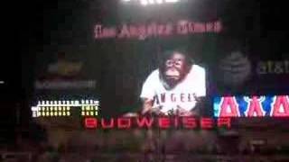 rally monkey