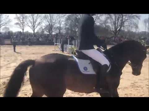 Van Gogh hengstenshow 2019