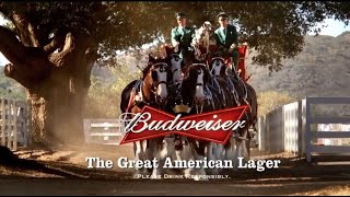 10 Famous Budweiser Super Bowl Commercials