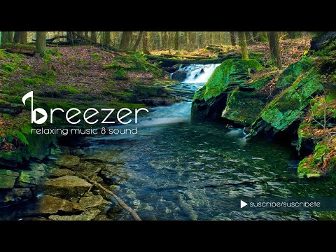 Peaceful River Sound - Sonido relajante de rio /130 min