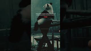 Download lagu STORY WA 15 DETIK || PANDA SAD || STORY WA BAPER || Aku masih memikirkanmu - kezia mp3 Download lagu STORY WA 15 DETIK || PANDA SAD || STORY WA BAPER || Aku masih memikirkanmu - kezia mp3