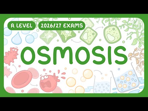 A-Level Biology - Osmosis - Water Potential | Osmosis in Animal & Plant Cells (2026/27 exams)