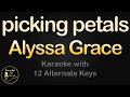 Alyssa Grace Picking Petals Karaoke Instrumental Lower Higher Male Original Key