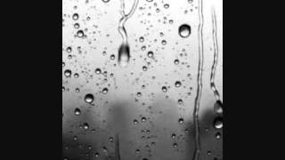 Dominique A   Le sens