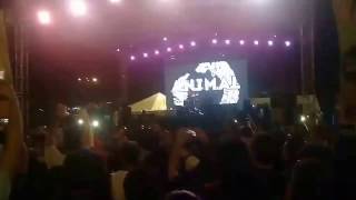 A.N.I.M.A.L. Barrio Patron