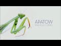 Apatow Productions