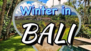 Living in Bali: A WINTER GETAWAY Experience