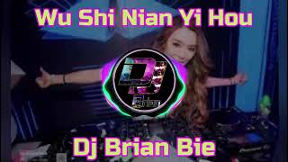 Download lagu Wu Shi Nian Yi Hou 五十年以后 Remix By Dj Brian Bie mp3