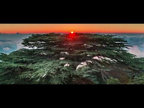 Pascale Ojeil   Jean Charles Papi SINTINEDDI