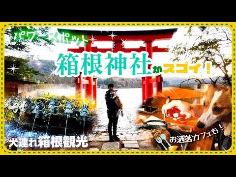 箱根神社と店内OK犬連れランチの実際の訪問動画
