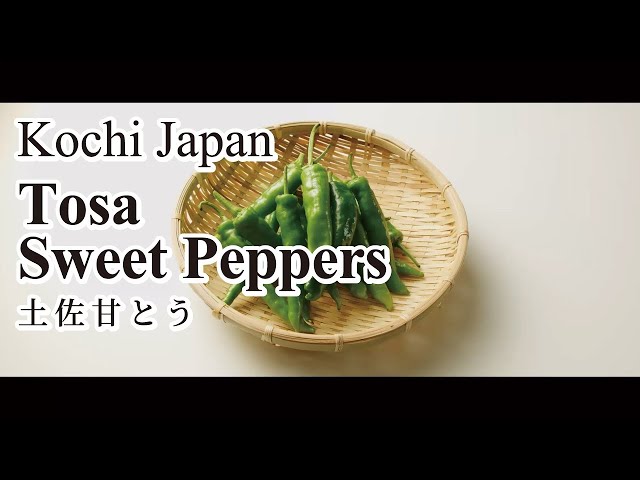 Try Tosa sweet peppers, sauteed with miso
