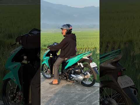 VARIO 125 KZR BISA GITU YA❗