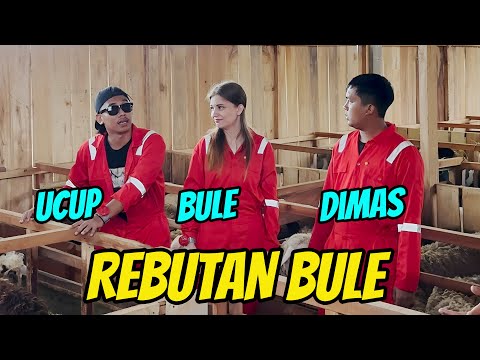 UCUP & DIMAS ZAENAL KAKEAN POLAH,  BINTANG TAMUNE BULE - VLOG UK