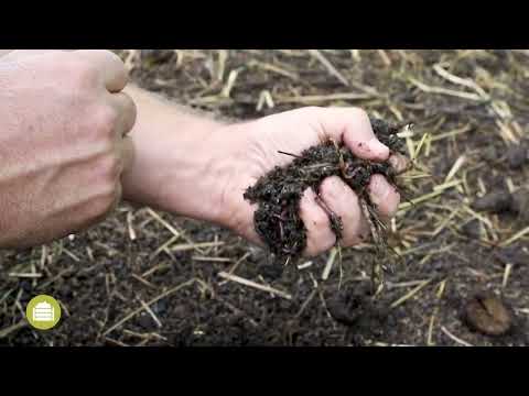 Vermicomposting in practice | Alfred Grand | Best4Soil | English
