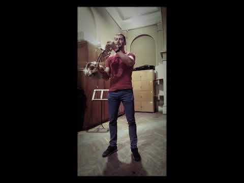 Tchaikovsky 5th Symphony 2nd movement - Horn Solo