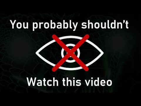 The Most Dangerous Pieces of Information - Cognitohazards