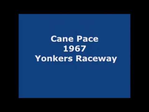 1967 Yonkers Raceway MEADOW PAIGE Cane Pace Billy Haughton