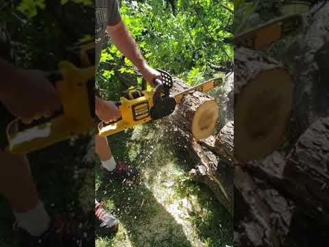 Dewalt 16" electric chain saw.