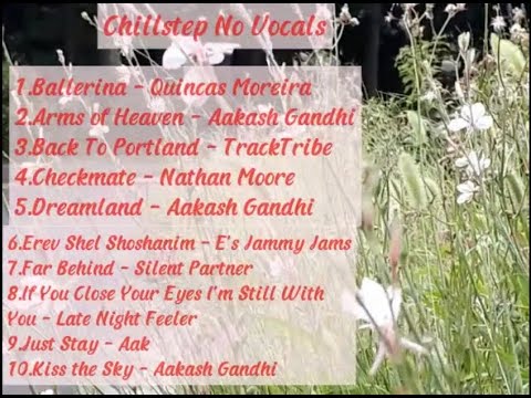 Chillstep No Vocals Instrumental   Chillstep for StudyWorkConcentration📛 NO VOCALS Study Mix