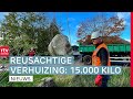 Verhuizing vijftien reusachtige zwerfkeien & Bijlengooien in Beilen | Drenthe Nu