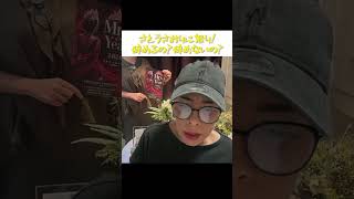 表明した議員辞職を1週間で撤回！辞めるの？辞めないの！？ #フィフィ #さとうさおり