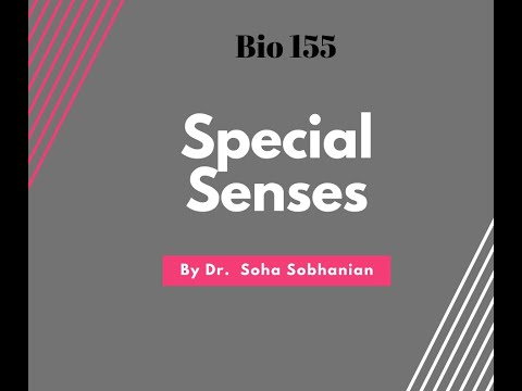 Special Senses: Hearing Part 1 (Biology 155)