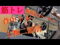 【筋トレ】新しいジムで筋トレをやりましたー!!