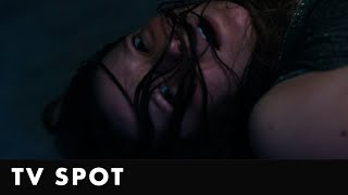 TV Spot