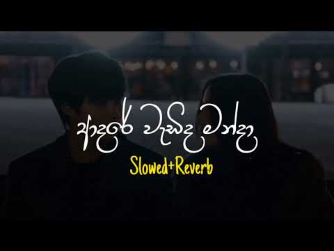 Adare Wadida Manda - ආදරේ වැඩිද මන්දා (Slowed+Reverb)