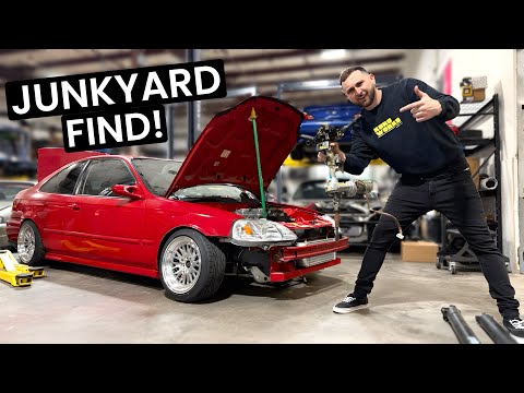 BEST MOD for ANY BUILD for $60!!