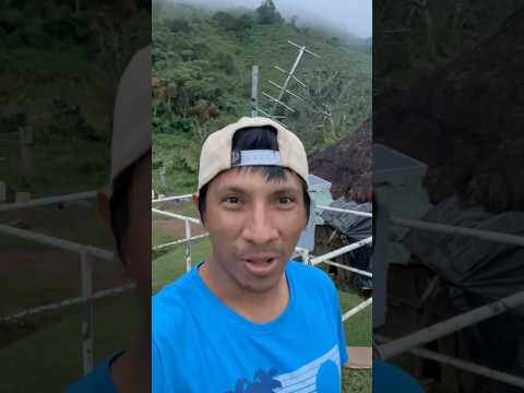 Raton, Jädeberi, Nole Duima, Ngäbe Bugle.