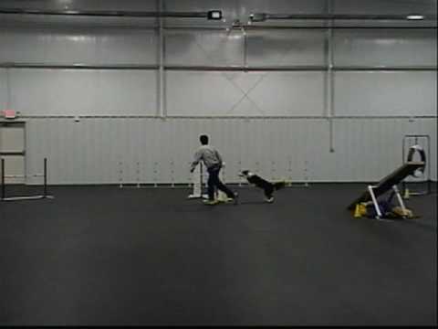 The Force 091128 - OA Q3, OAJ Q3