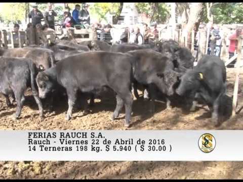 22-04-16 Venta de Hembras - Ferias Rauch S.A. - Rauch.