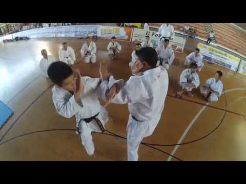 Lucio Maurino - Open hand techniques