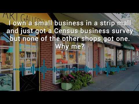 Who Knew? Not All Business Owners Get a Survey