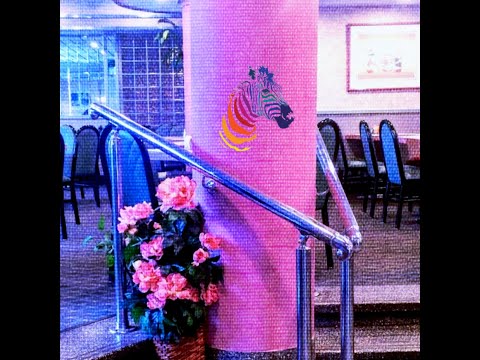 XOLicentia - Licent. Ein Teil [Official Musicvideo]