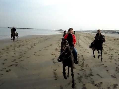 Galoppata incredibile sulla spiaggia!!!